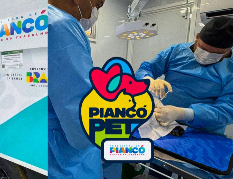 Castramvel de Pianc realiza mais de 50 castraes em parceria com ONGs e cuidadores de animais